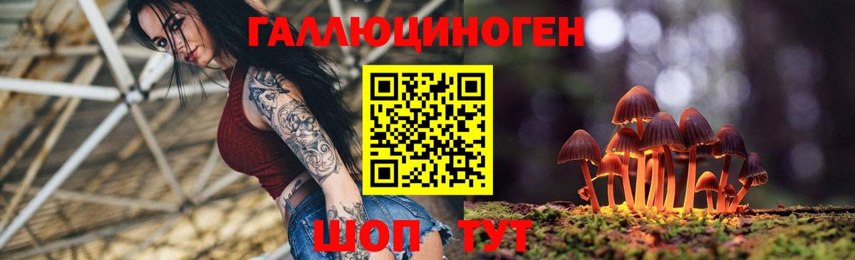 купить   Вход с VPN  Нижнекамск  Галлюциногенные грибы GOLDEN TEACHER 